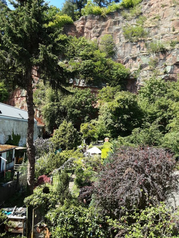 Trier Ferienwohnungen Longen: Ansicht 7